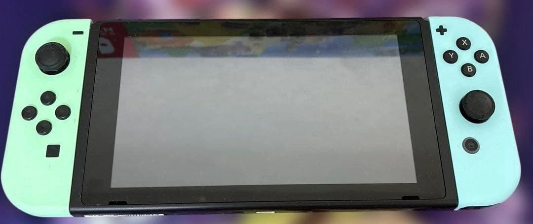 【中古】Nintendo Switch あつまれどうぶつの森セット