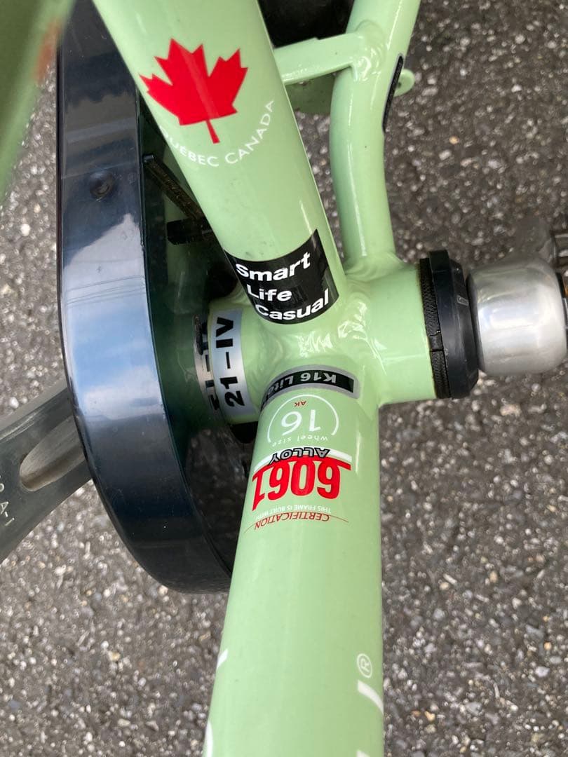 【ルイガノ】キッズバイク K16lite 16インチ グリーン 送料込み