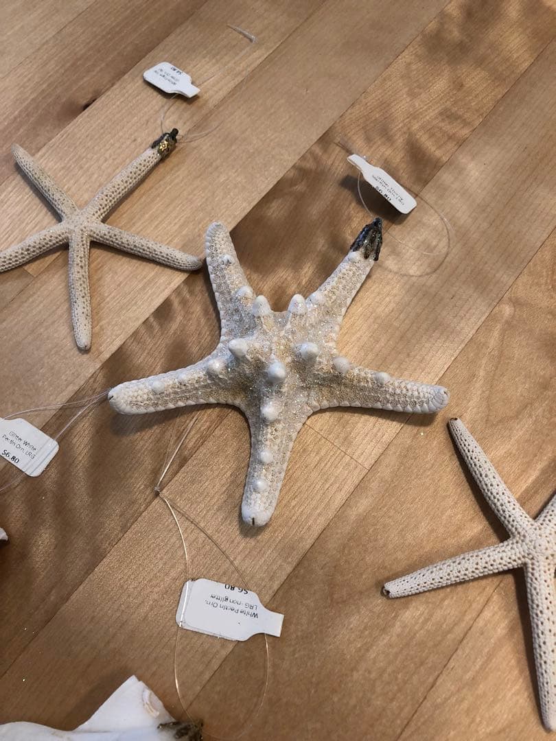 クリスマス オーナメント シェル ハワイ ロンハーマン wtw zara