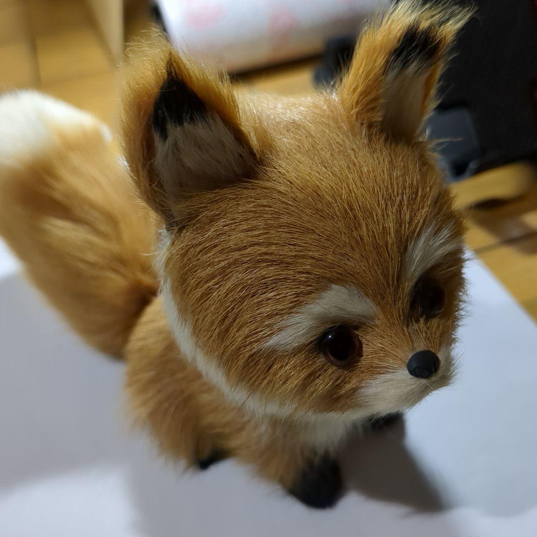 ぬいぐるみ Cyai