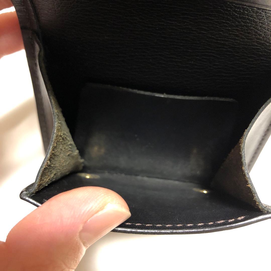 ワイルドスワンズ　パーム　シェルコードバン