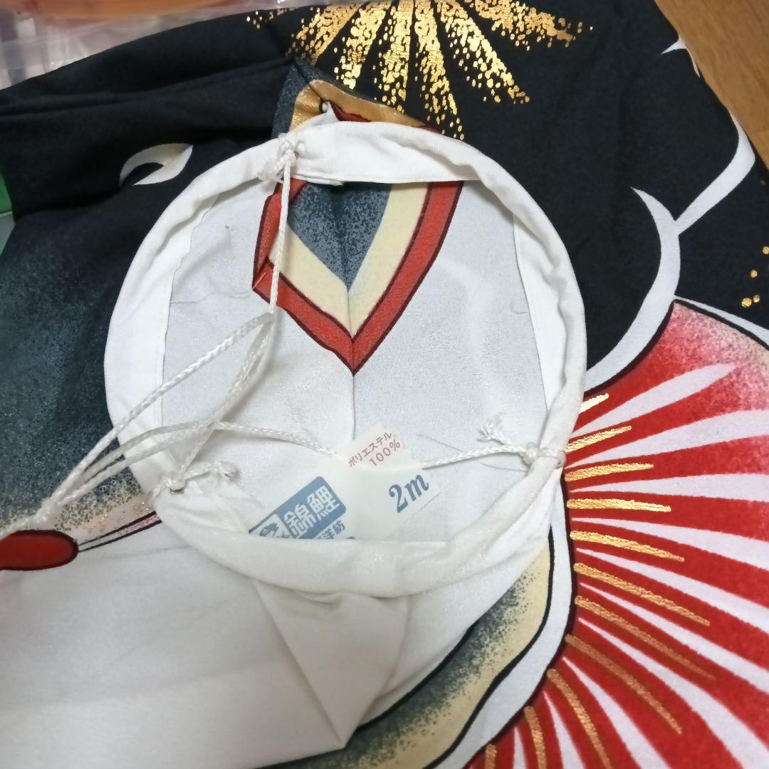 鯉のぼり庭園スタンドセット（鯉2種類）2m