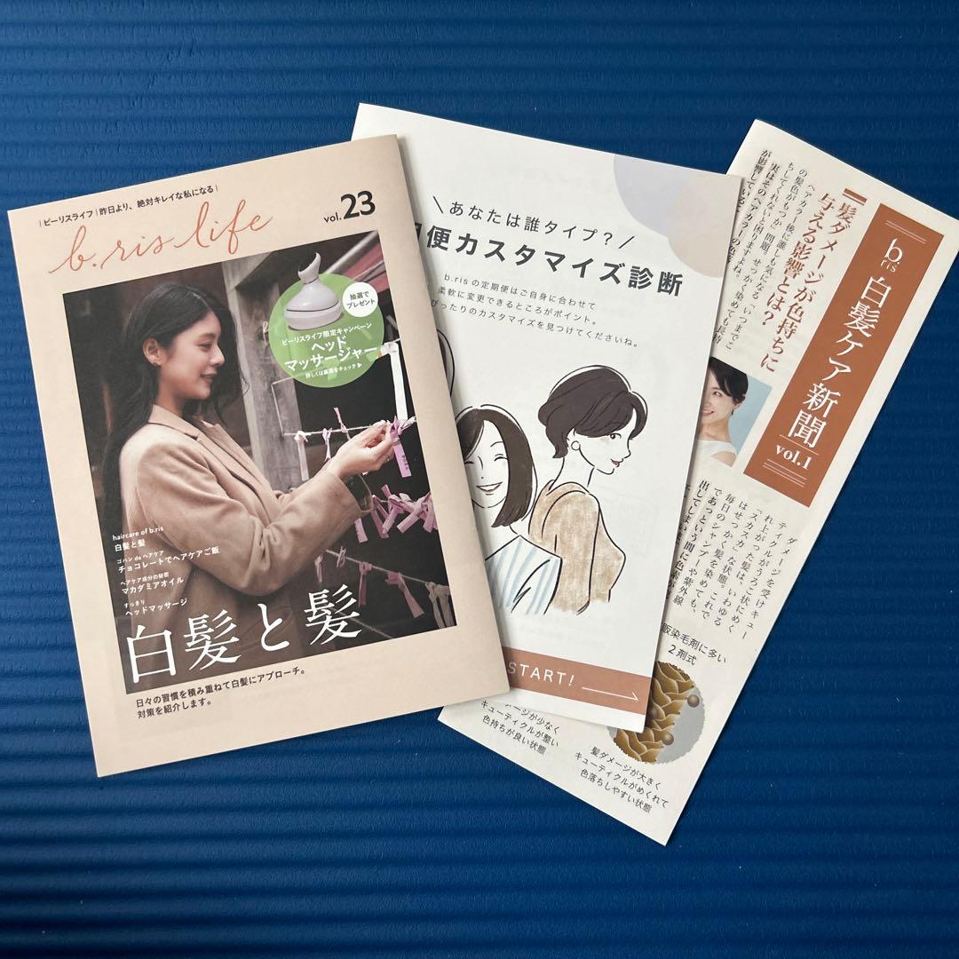 お得な３本セット楽天1位白髪染めビーリスカラーリング泡タイプ 部分染めb.ris