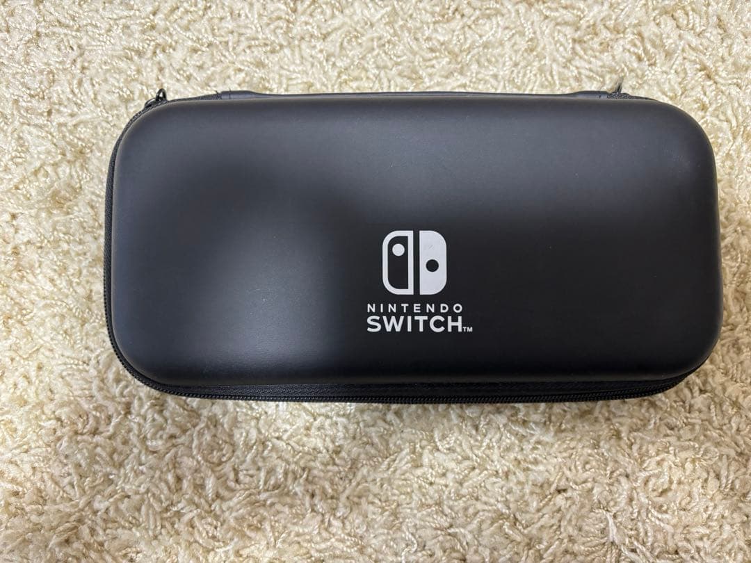 Nintendo Switch Lite グレー 本体 充電器・専用ケース付き