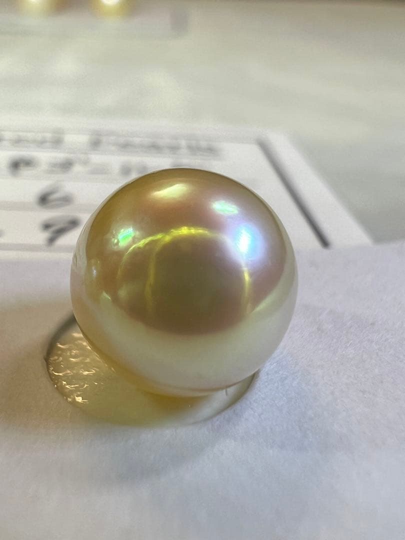 【至福のナチュラルゴールド☆】無調色　あこや真珠