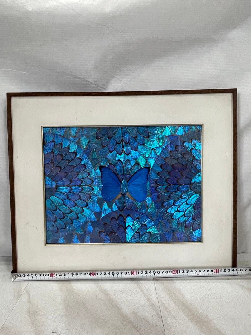 ハ2415 【中古品】裏シミ有り　表縁汚れ有り　ブラジルの青いモルフォ蝶の装飾画