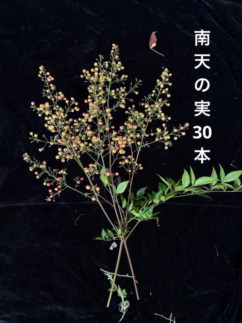 南天　　　正月　門松