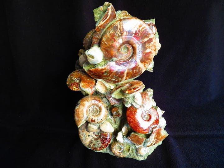 超限定品天然マダガスカル産オパールアンモナイト 化石 100個 超巨大型15ｋｇ