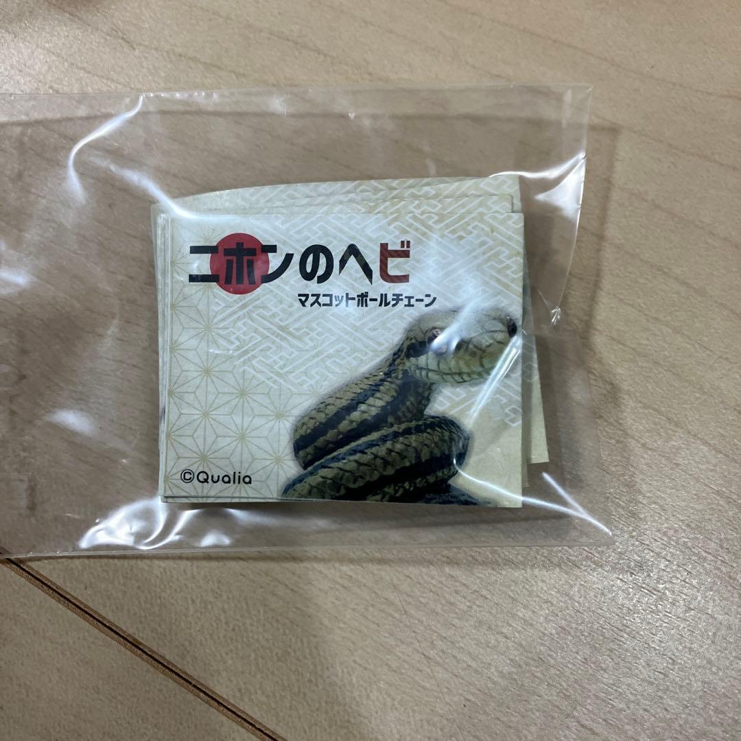 マスコットボールチェーン 爬虫類 両生類 ガチャガチャ カプセルトイ