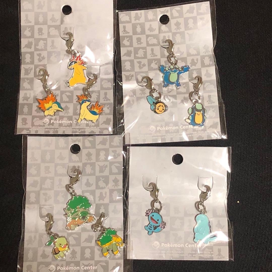 【バラ可能】ポケモン ぜんこくずかん メタルチャーム　まとめ売り
