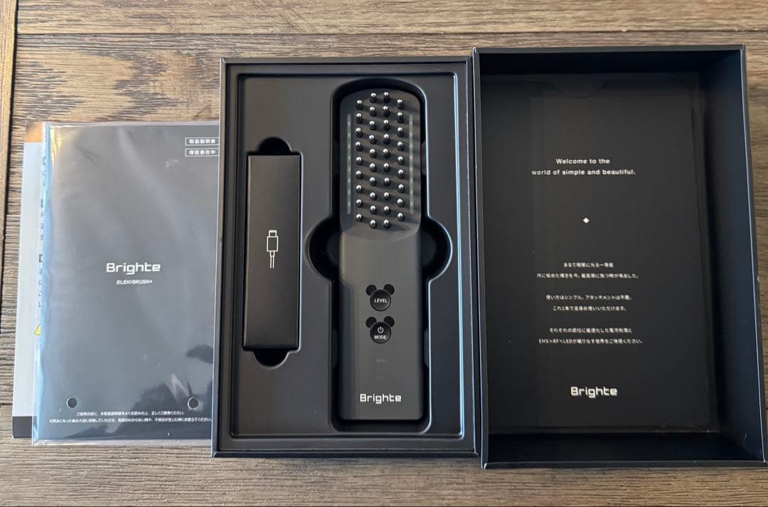 【あら】ELEKI BRUSH＋ ミッキー　エレキブラ動作確認済・説明書付