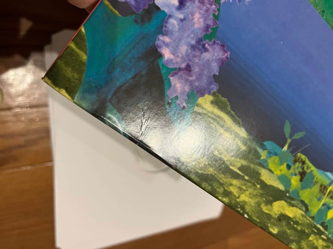 秋*様 EUTOPIA / STUTS アナログレコード 2LP