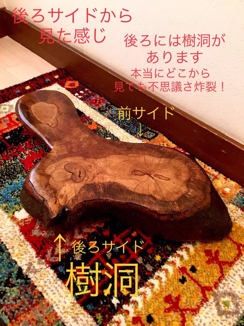 合体樹＊超絶ワイルドな森の切り株テーブル】3本の木々が一体化した希少部位