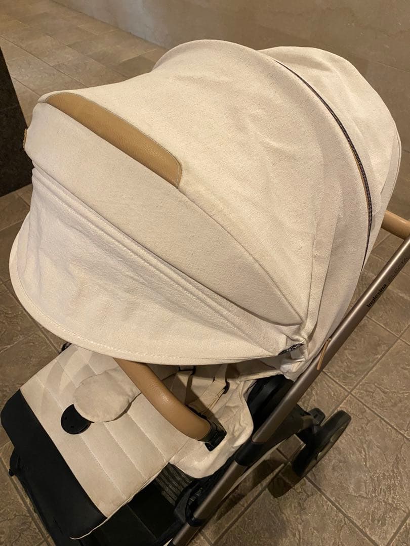 イングリッシーナエレクタ