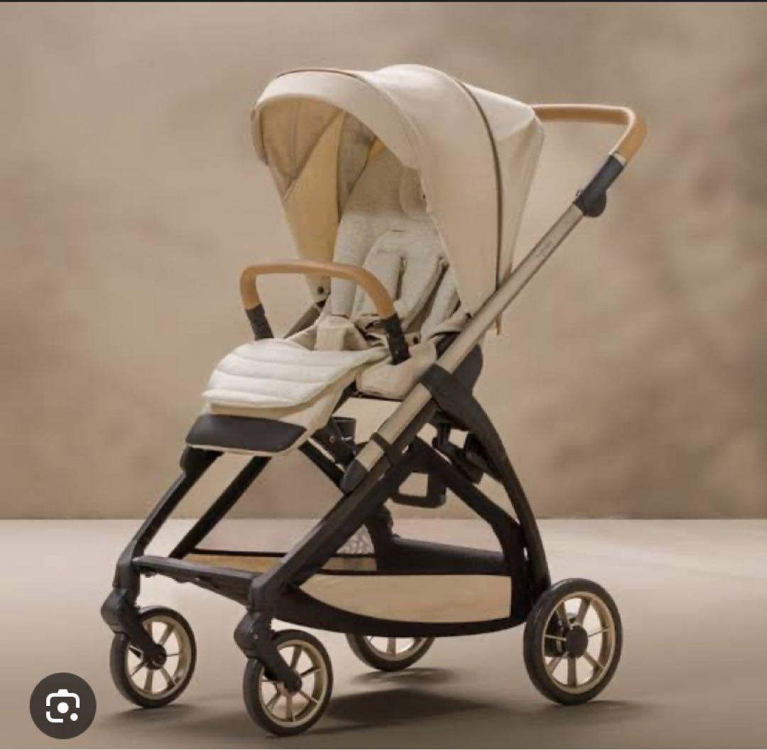 イングリッシーナエレクタ