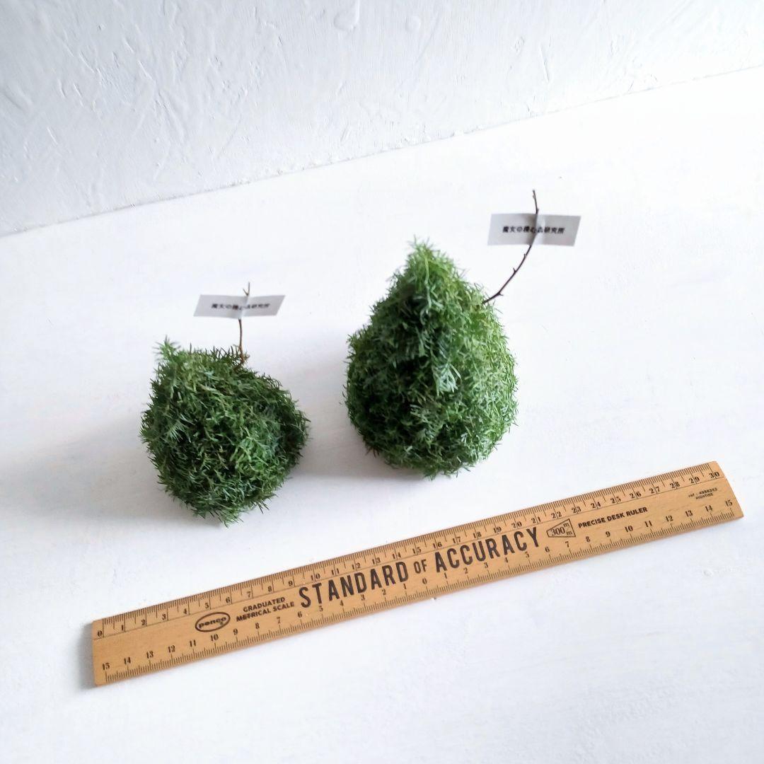 新品 未使用 ドライフラワー リース ツリー オブジェ インテリア order