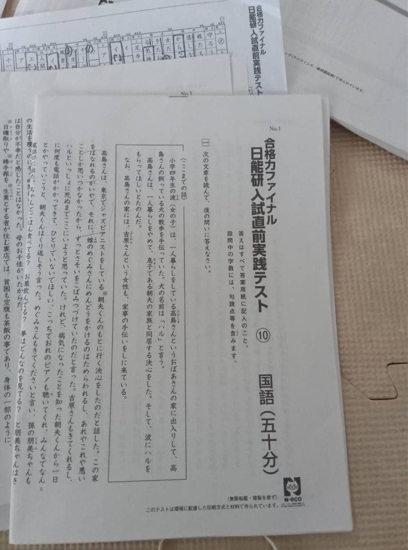 最新　日能研6年後期　公開模試　テスト