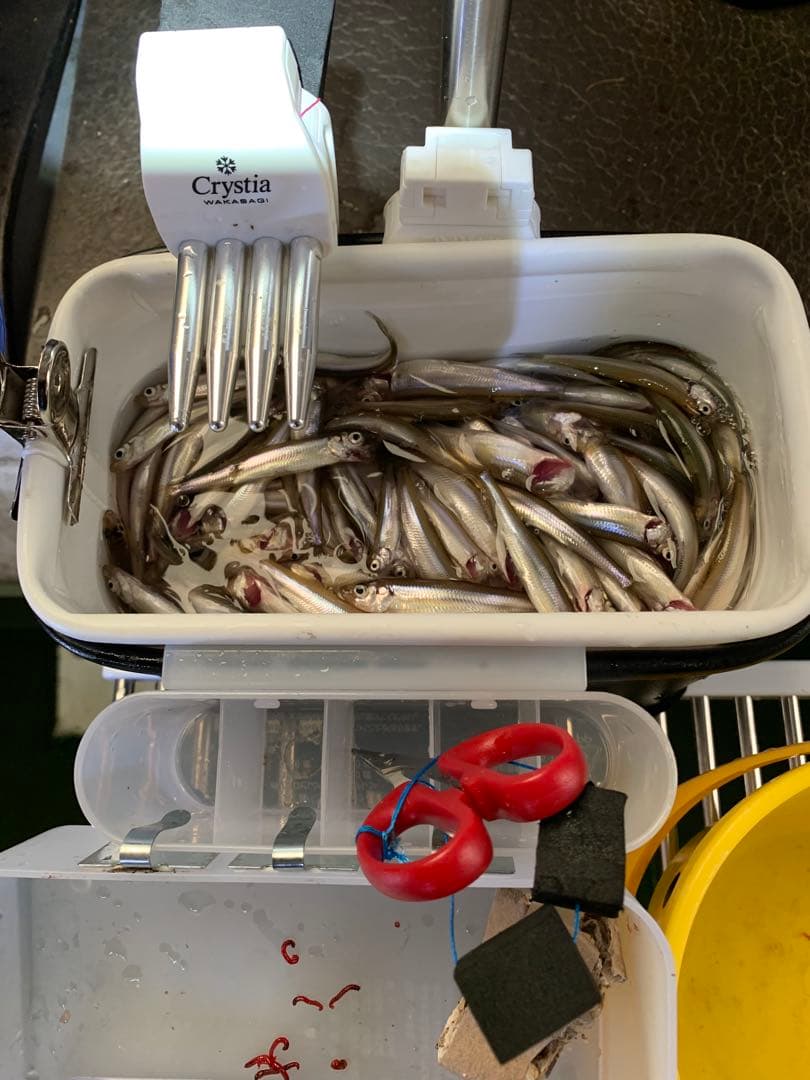 ワカサギステンレス穂先　　２５８ミリ　　２本