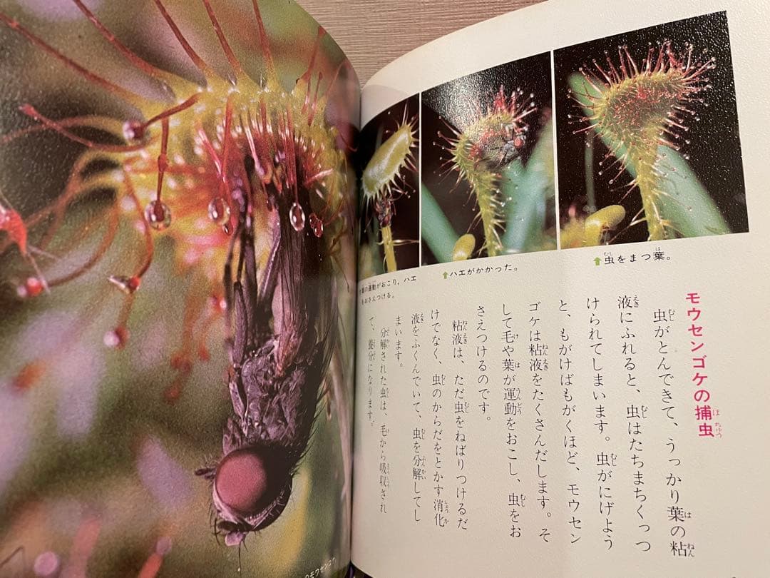 科学のアルバム　あかね書房　シリーズ　全91冊　セット販売