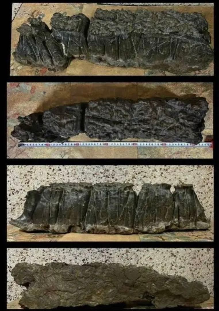 4756 水石 盆栽 大型 紀州古谷石 横63(cm)19.35kg