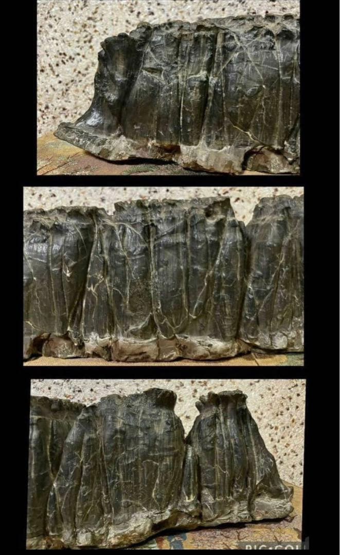 4756 水石 盆栽 大型 紀州古谷石 横63(cm)19.35kg