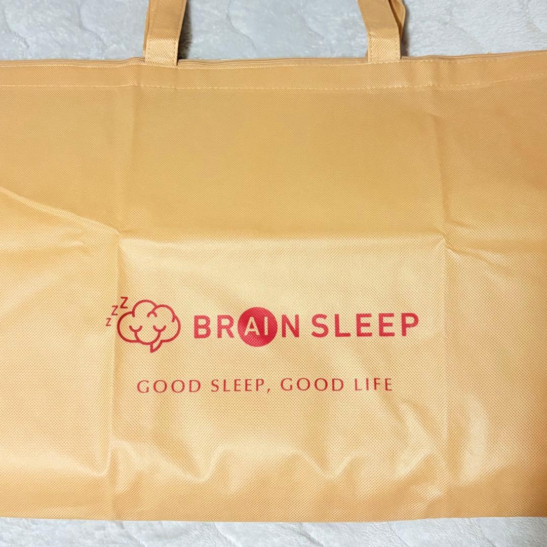美品✨ブレインスリープピロー　ネックフィット　収納袋あり