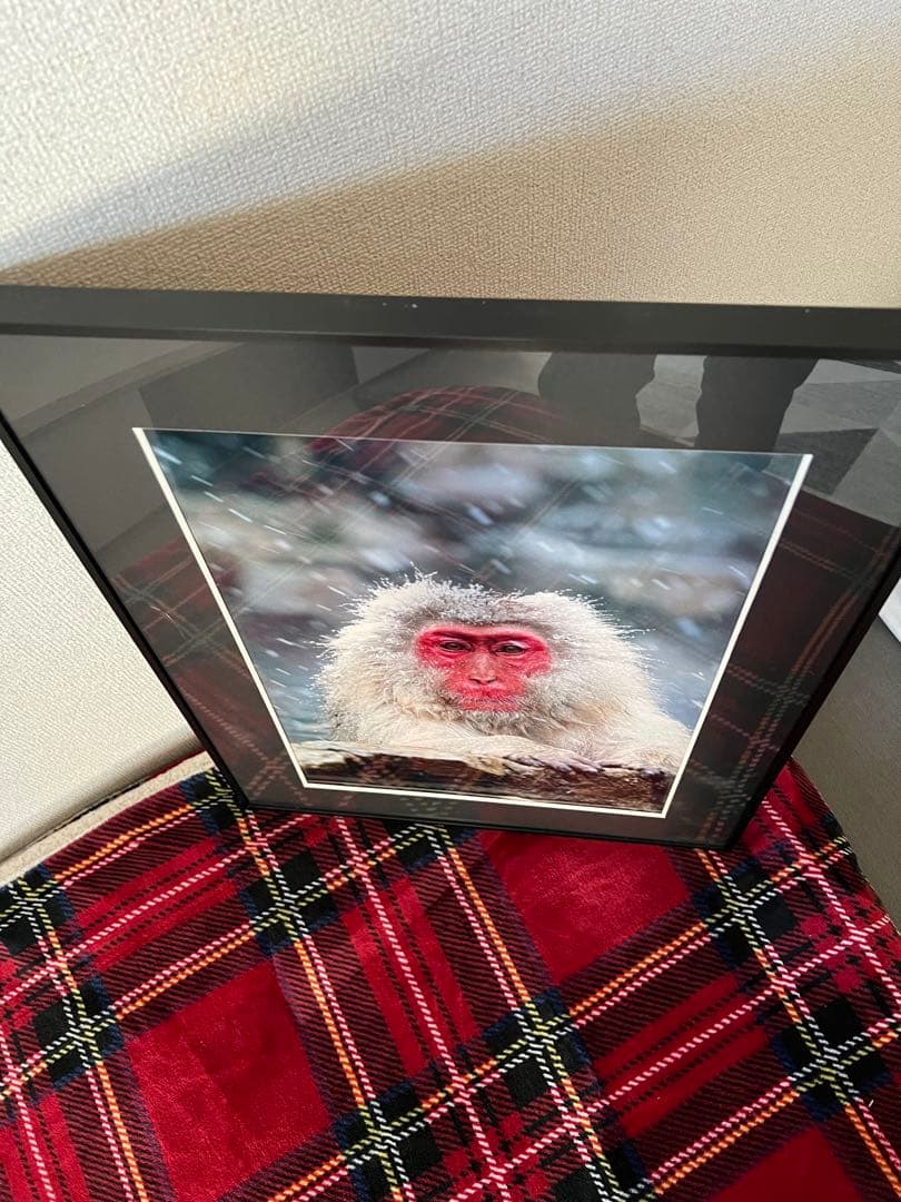 作家写真「雪の中、温泉でくつろぐ日本猿の写真」