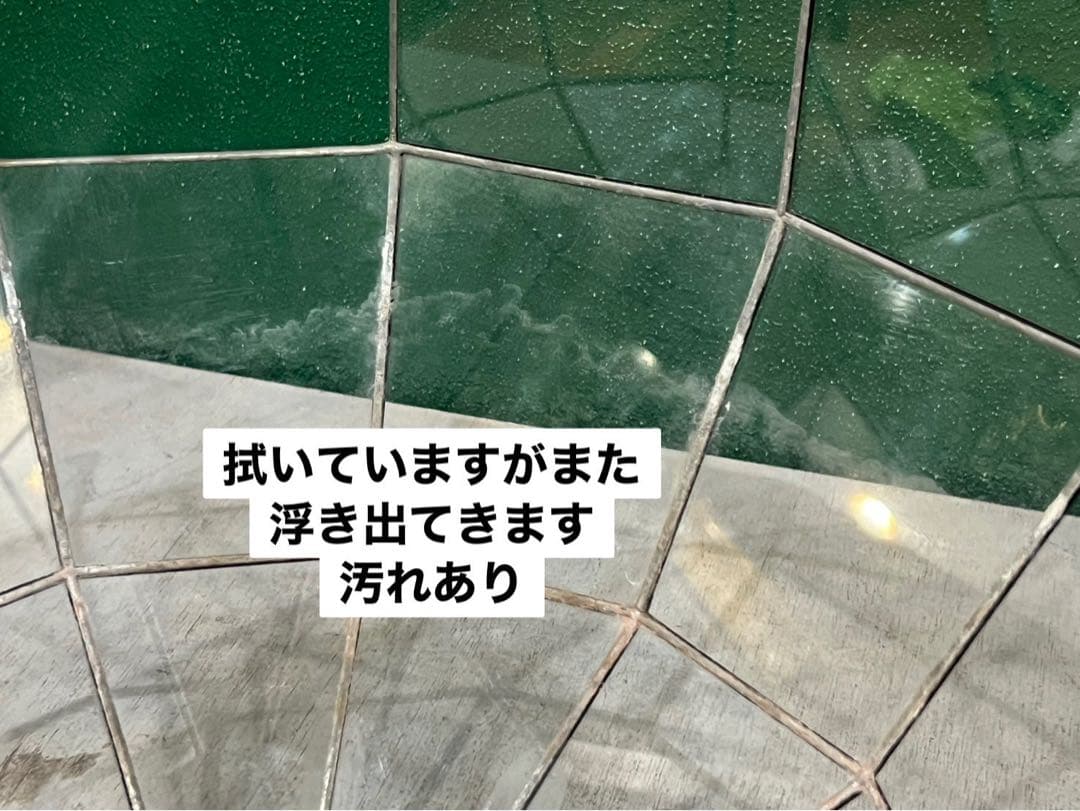 吊り型 テラリウム バンキング インテリア ガラス ショーケース