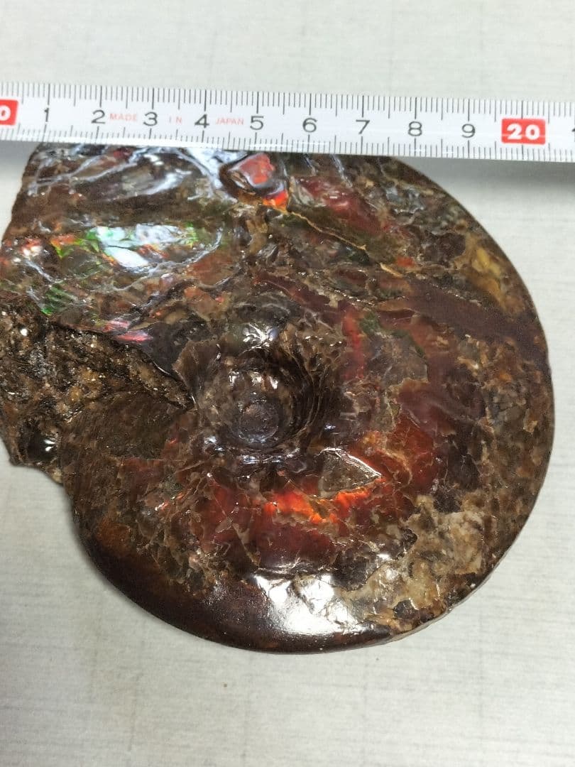 アンモライト原石