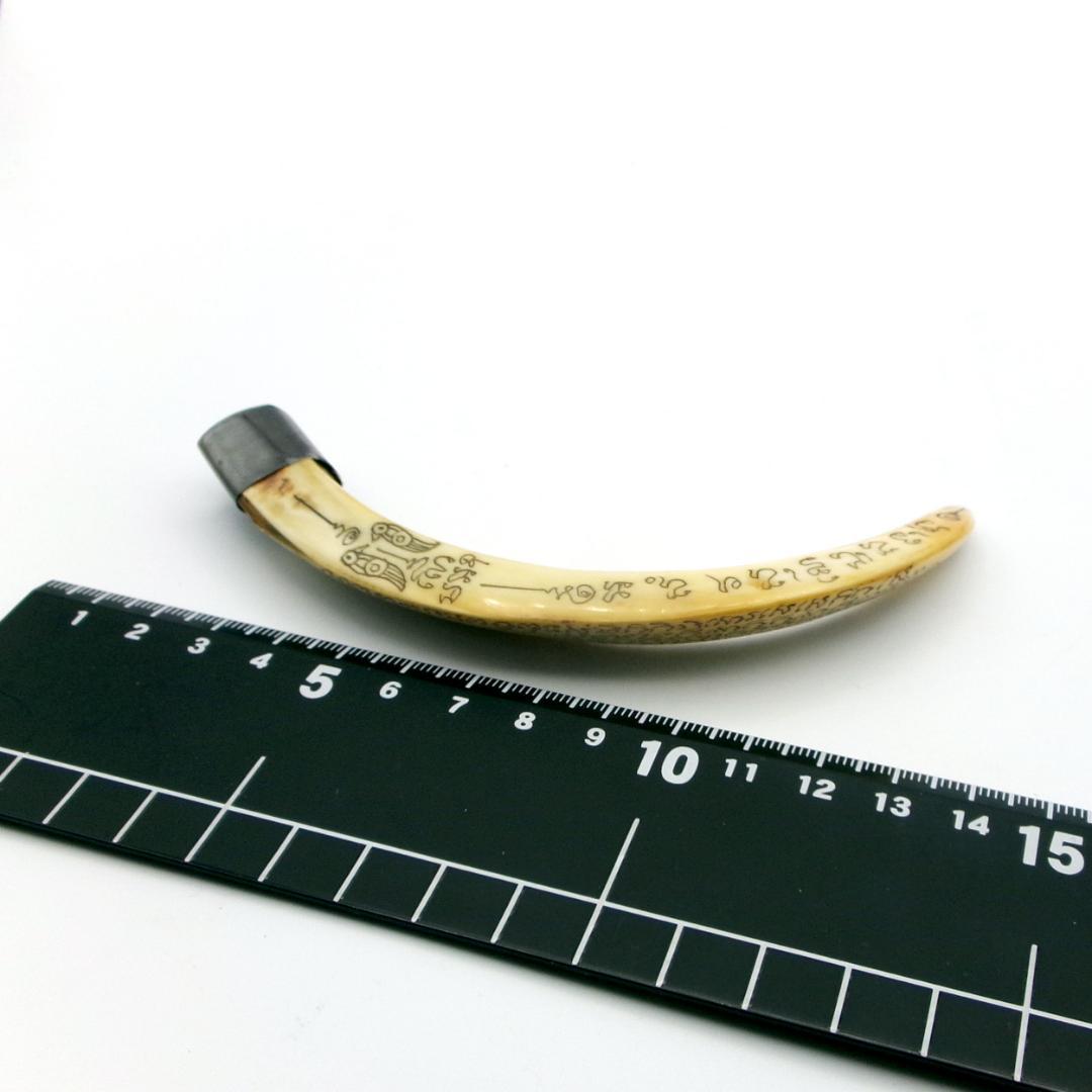 タイ お守り Khiaw Hmoo Dtan Gae Suea 猪牙 Yant