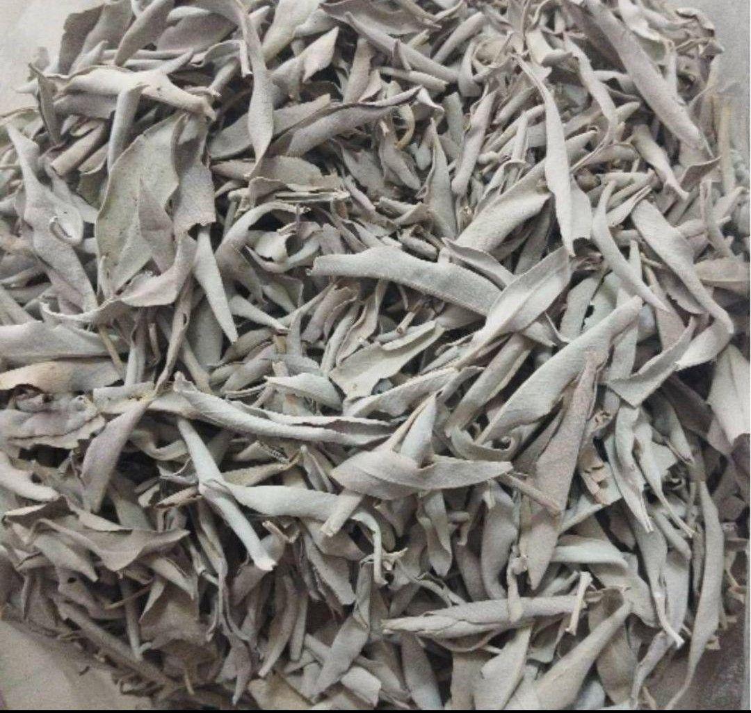 激安価格☆無農薬ホワイトセージリーフ1kg業務用価額お得