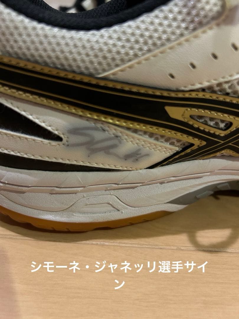 ペルージャ シモーネ・ジャネッリ選手サイン入りローテサーパスχ4