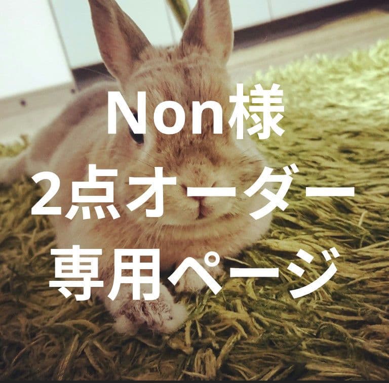 Non様 2点オーダー＆おまとめ6点専用ページ