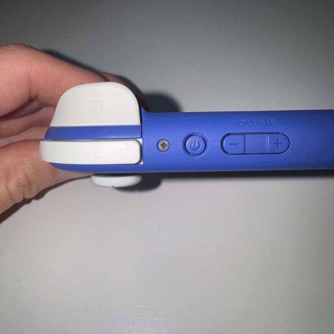 Nintendo Switch Lite 収納ケース付き(箱無し)