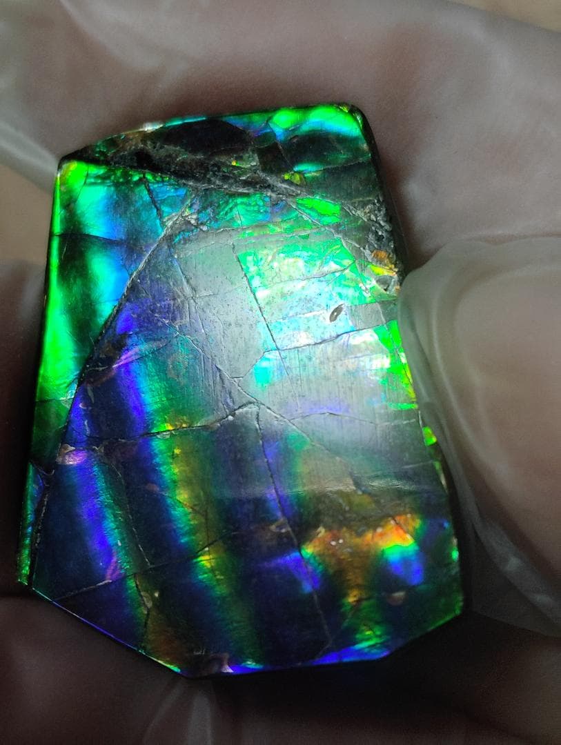 アンモライト　ルース　24-1415 36000