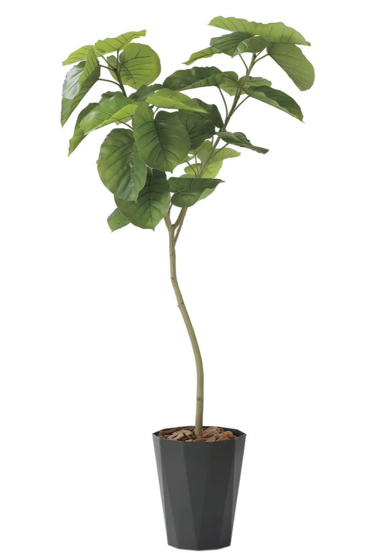 光触媒　人工観葉植物　フェイクグリーン　フレッシュデザインウンベラータ1.8