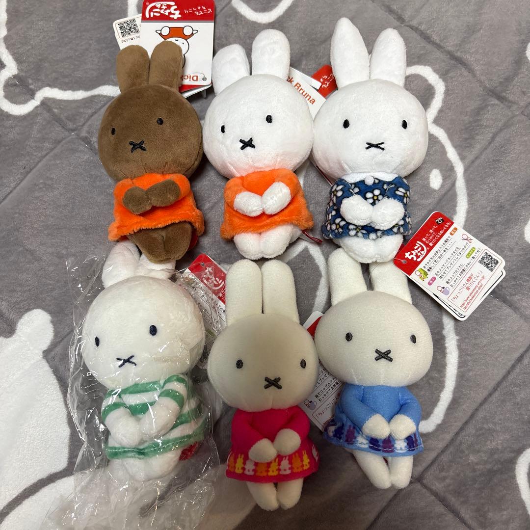 ミッフィー ちょっこりさん