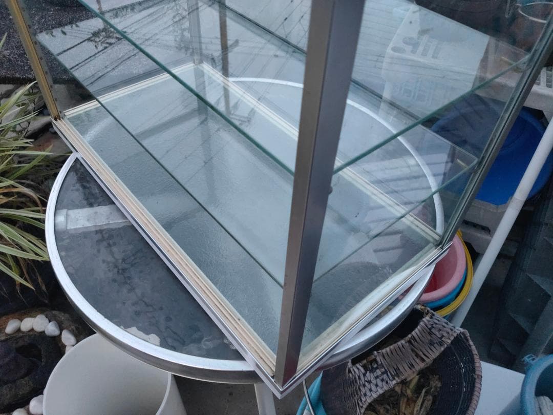 陳列ガラスショーケース☆w600x310x435☆棚板２枚