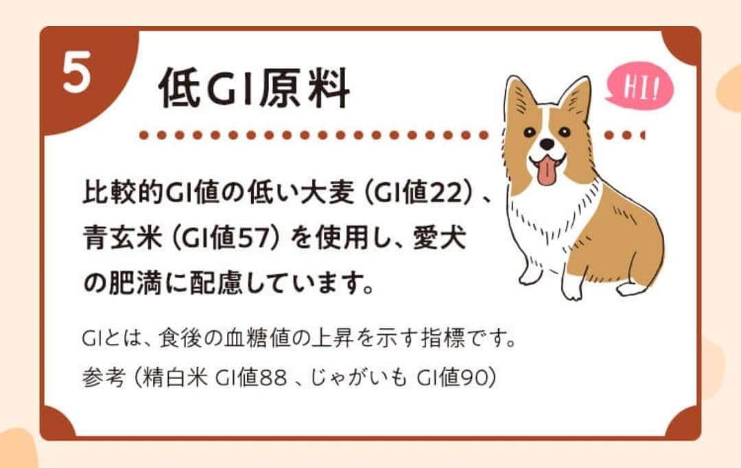 【24時間以内発送】Smiley スマイリー まぐろ deli ５kg ２袋