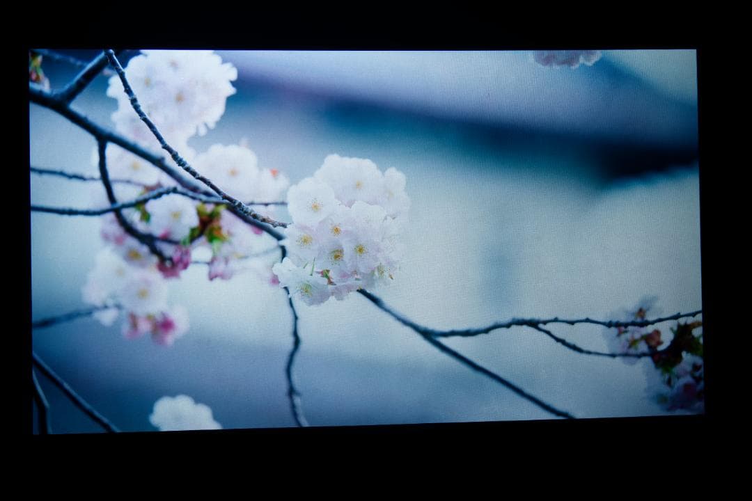 Optoma プロジェクター 本体