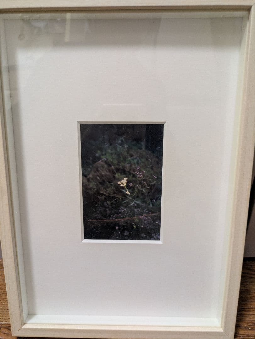 トヤマタクロウ　写真　額縁付き　 サイン有り