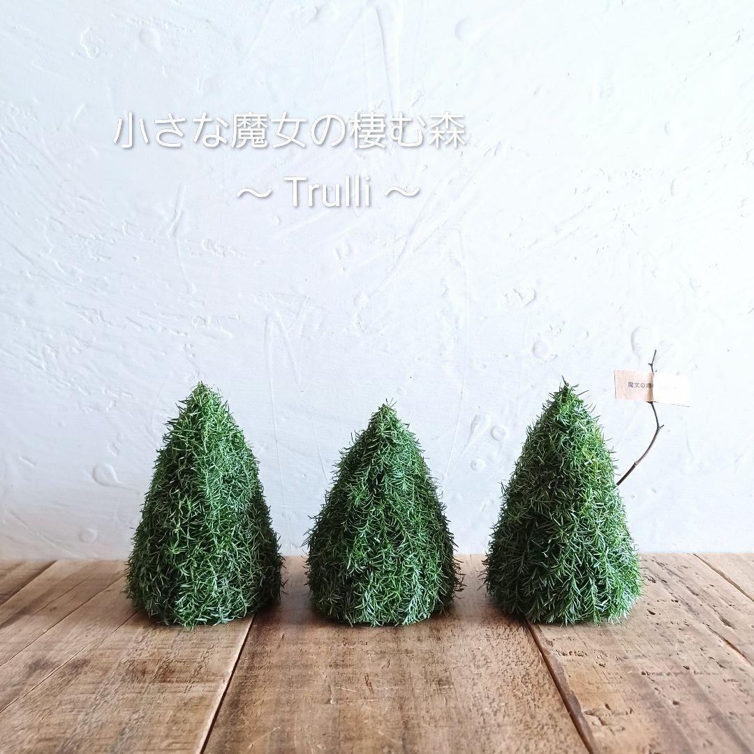 新品 未使用 ドライフラワー リース ツリー卓上 インテリア 雑貨 order