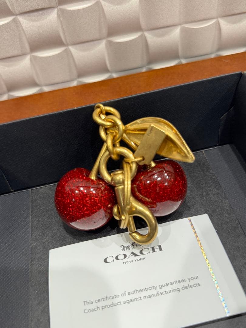 COACH コーチ　キーホルダー　キーケース　キーリング　バッグチャーム