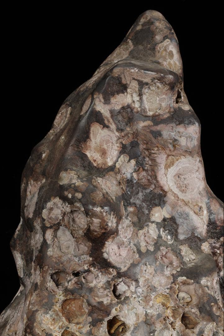 紅梅 梅花石 台付 5.7kg 鑑賞石 水石 原石 天然石 鉱石 盆石 飾石