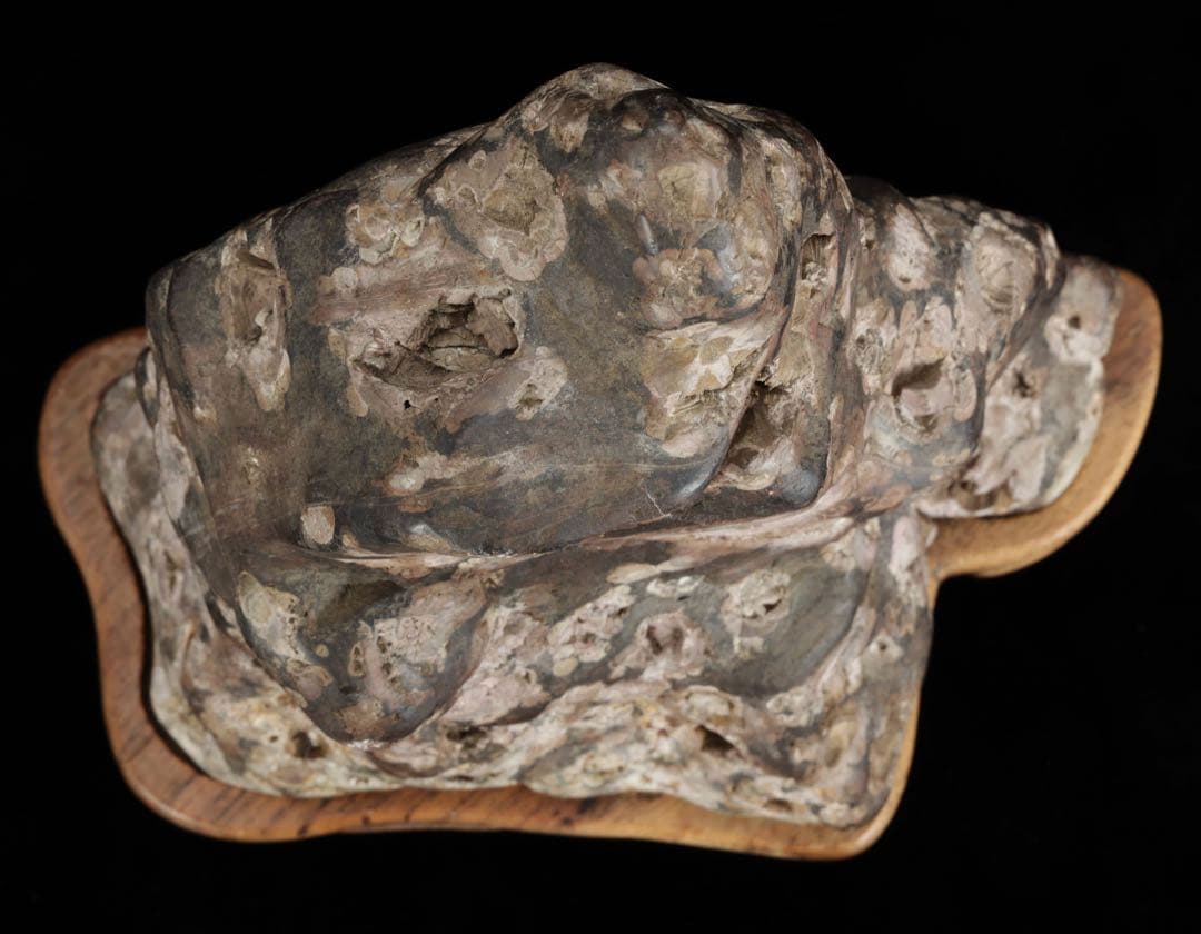 紅梅 梅花石 台付 5.7kg 鑑賞石 水石 原石 天然石 鉱石 盆石 飾石