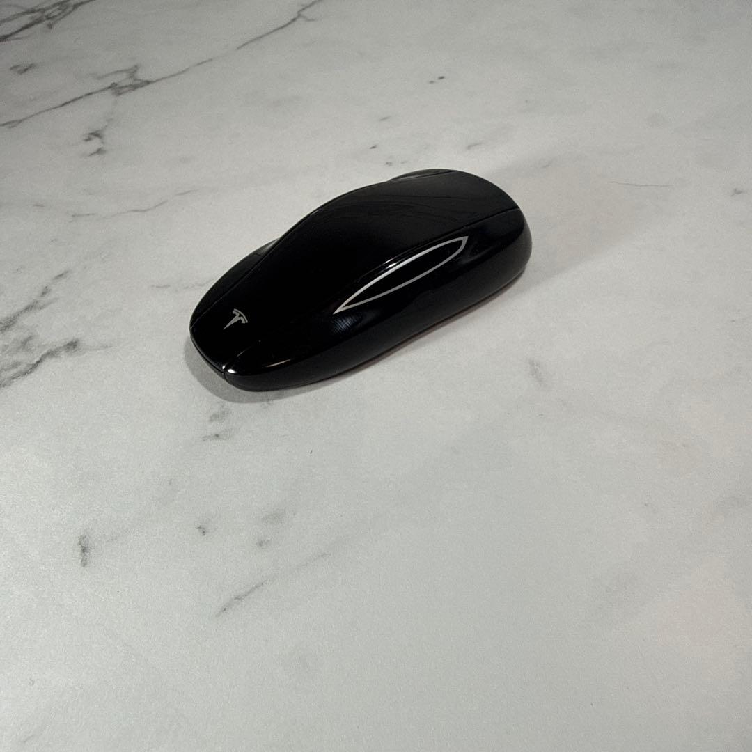 テスラ　キーフォブ　モデル3 キーバンド付き