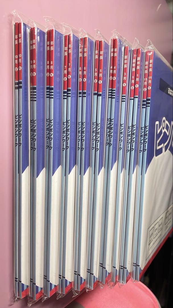 理英会ピンポンワーク&合格へのステップセット【タッチペン付き】