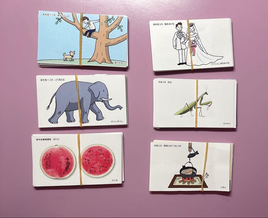 理英会ピンポンワーク&合格へのステップセット【タッチペン付き】