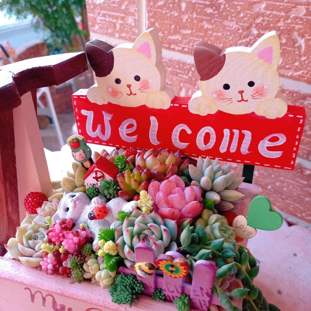 ❤️専用❤️多肉植物❤️そのまま飾れる寄せ植え❤️