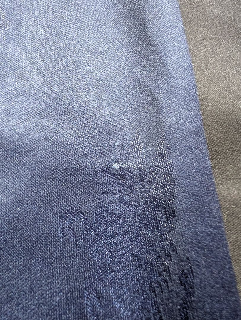 三浦知良/ジェノア/94-95シーズン/ホーム